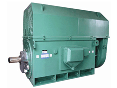 YRKK7103-4Y系列6KV高压电机
