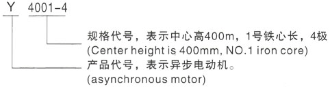 西安泰富西玛Y系列(H355-1000)高压YRKK7103-4三相异步电机型号说明