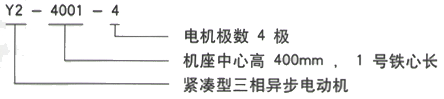 YR系列(H355-1000)高压YRKK7103-4三相异步电机西安西玛电机型号说明